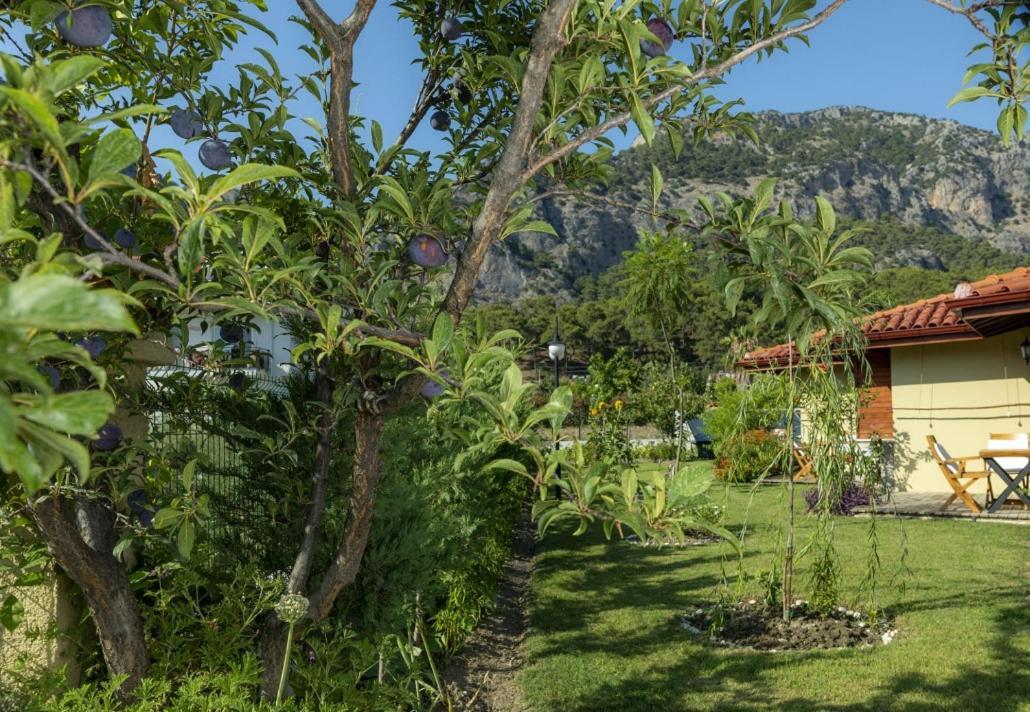Sandal Hotel Gocek Εξωτερικό φωτογραφία